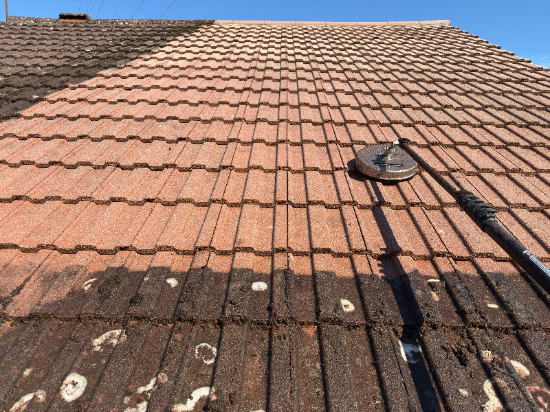 Roof cleaning with telescopic pole