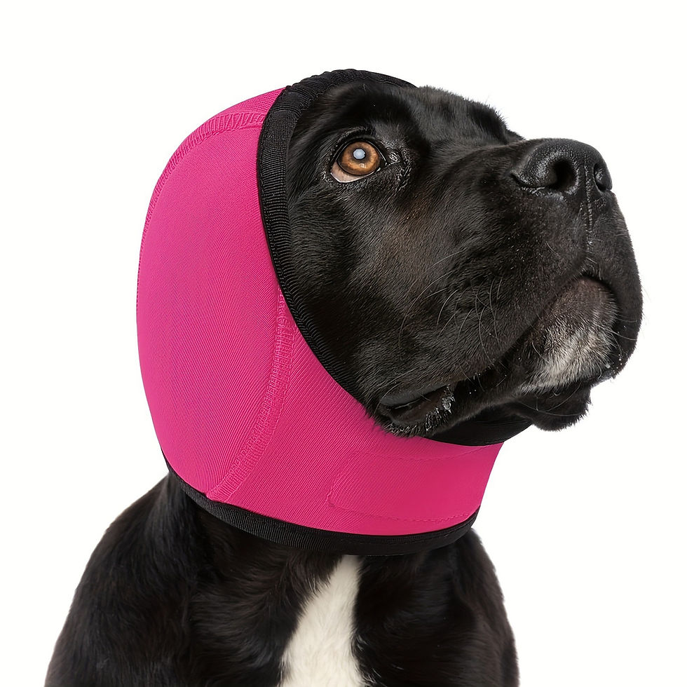Thumbnail: Dog Head Cover
