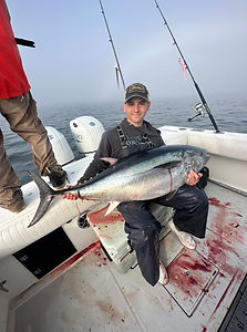 image_67199233 (1).JPG