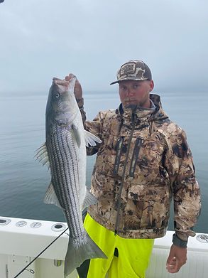 image_6487327 (3).JPG