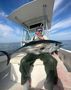 image_67187713 (1).JPG