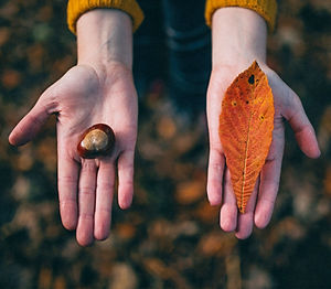 Fall%2520Tokens_edited_edited.jpg
