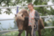 Der Kontakt zum Pferd ist ein wichtiger Grundstein der pferdegestützten Therapie und Inhalt der Ausbildung zum Pferdegestützten Therapeuten IVK