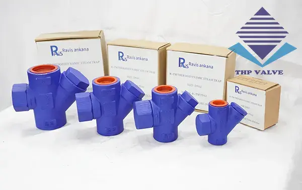Bẫy hơi đồng tiền Ravis