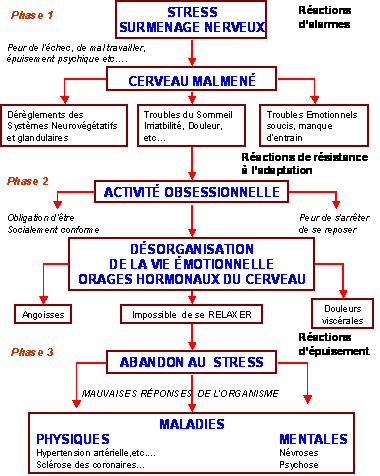 Schéma_stress_Henri_Laborit.gif