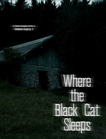 Where the Black Cat Sleeps.png