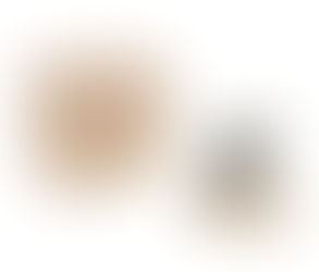 Windows FranzisPROJECTSCompleteCollection062017 Pro Rar Serial