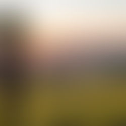 A FIRST LOOK AT MADWALENI RIVER LODGE