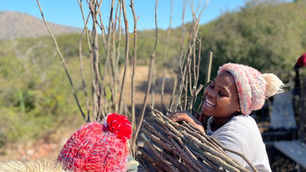 DESIGNING WITH PURPOSE: LUXURY FRONTIERS' IMPACT AT BABANANGO GAME RESERVE