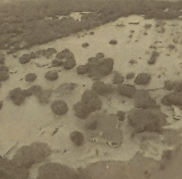 Tödliche Flutkatastrophe in Texas: Blitzüberschwemmungen reißen Menschen mit