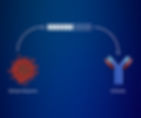 Silica Corpora drug discovery tool Generator