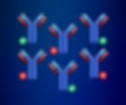 Silica Corpora drug discovery tool Discriminator