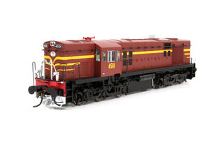 NSWGR 45 class by Auscision Models