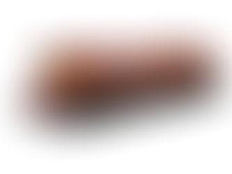 NSWGR 45 class by Auscision Models