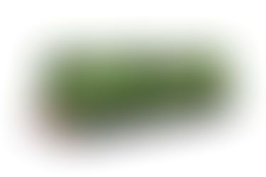 NSWGR 41 class by Austrains