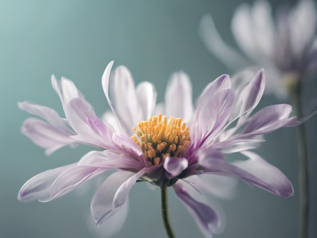 Top 10 Benefits of IDD Care for Adults