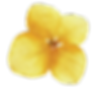 Flor decorativa