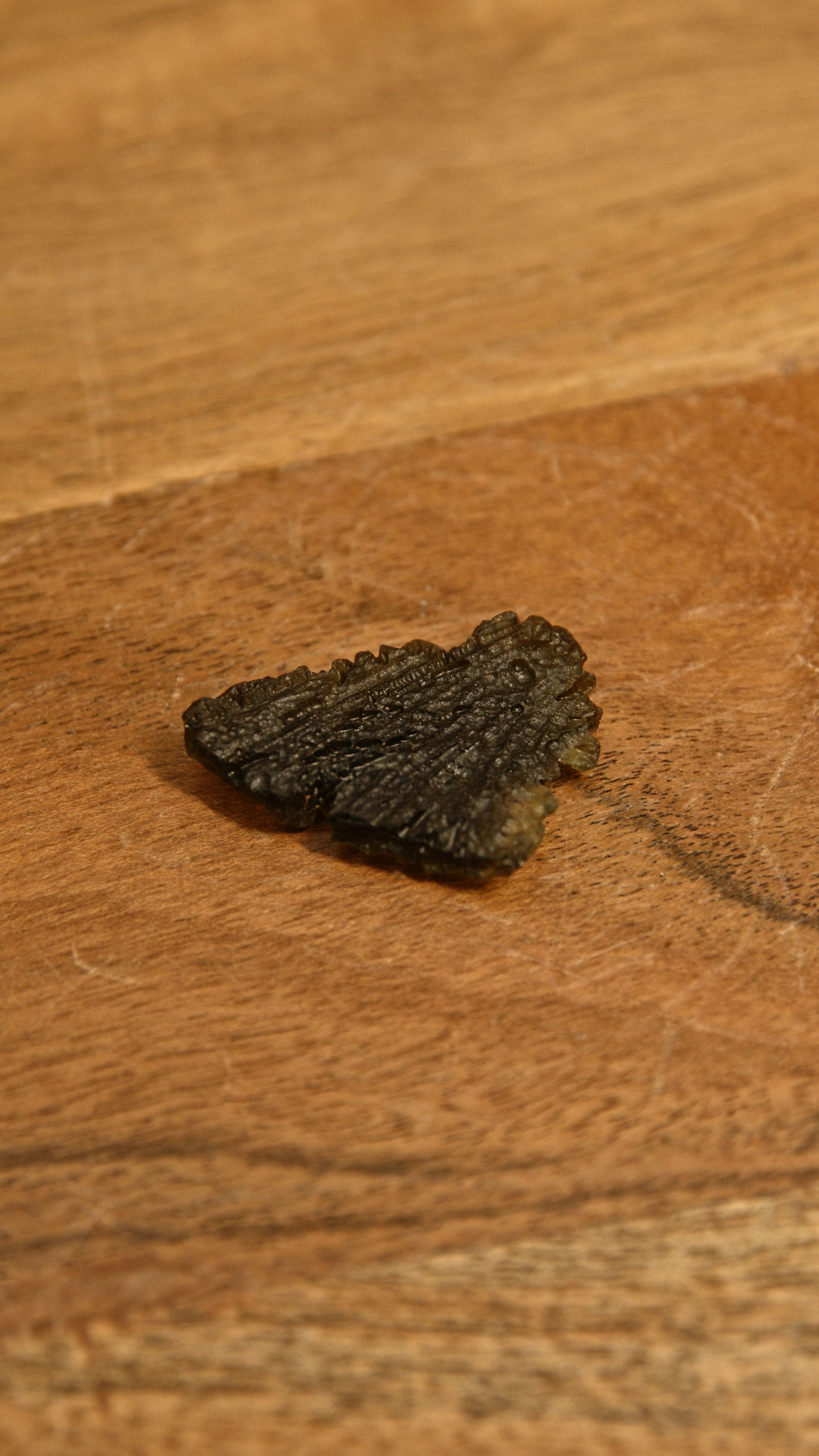 Pièce de Collection 42 - Petite Pièce - Minéral : Moldavite