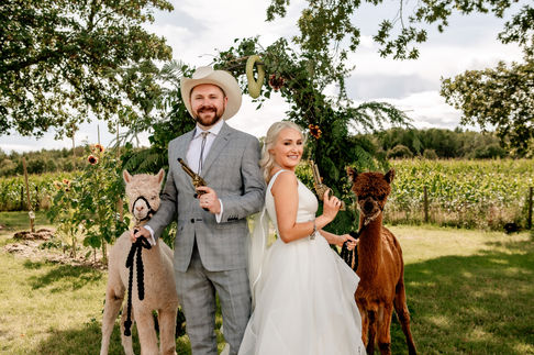 Country Wedding Photographer, Corn Field Wedding Pictures, Alpacas at Wedding