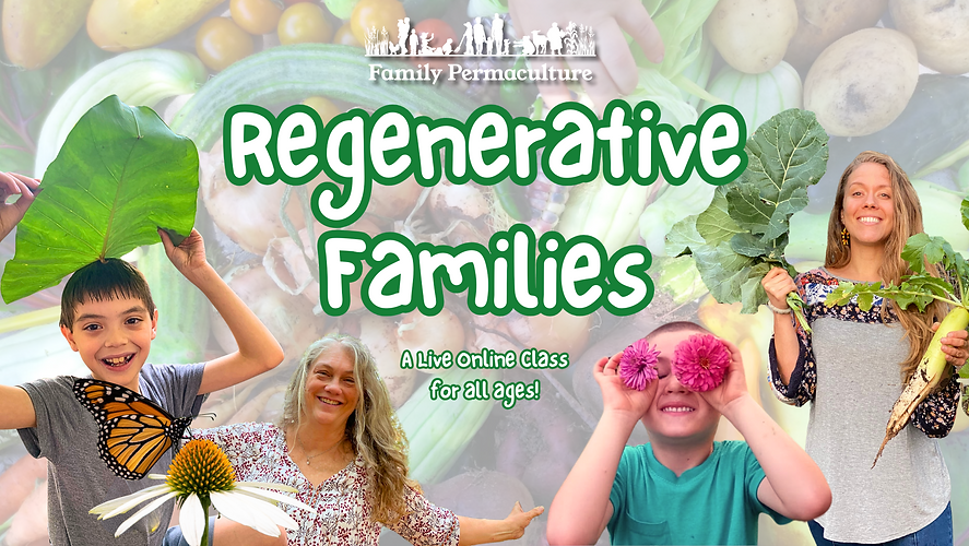 Regenerative Families Banner (6).png
