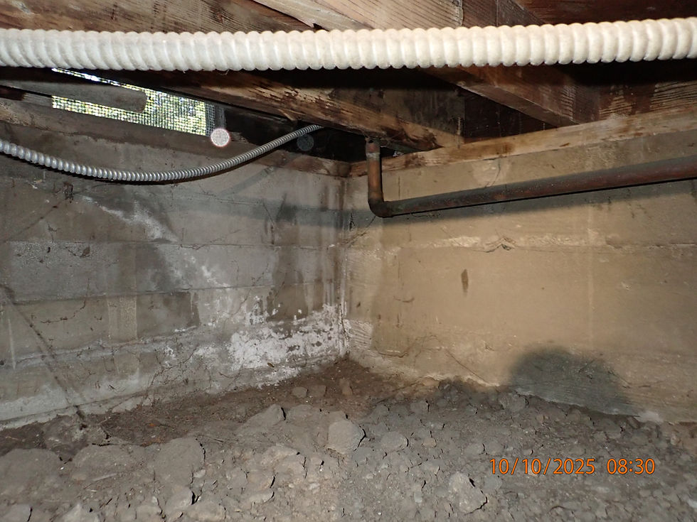 Strengthening Safety: Sinai Construction’s Bolting & Bracing Expertise