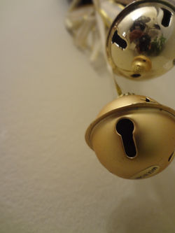 DSC00606.JPG