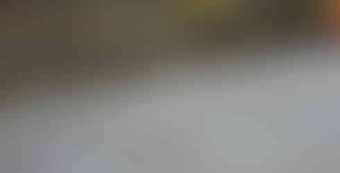 Sinai Construction, Los Angeles experts, near me, yard drainage, concrete, contact us, cracks, driveway