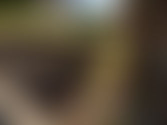 Replacing a Failing Retaining Wall with Sinai Construction