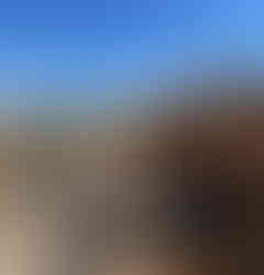 Sinai Construction, Hillside retaining wall, retaining wall, contractors in Los Angeles,