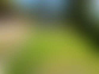 Retaining Walls: Purpose, Protection, and Long-Term Stability 