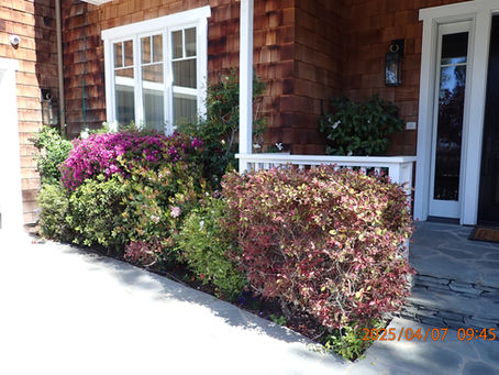 Waterproofing the Foundation: Protecting Your Home from the Ground Up