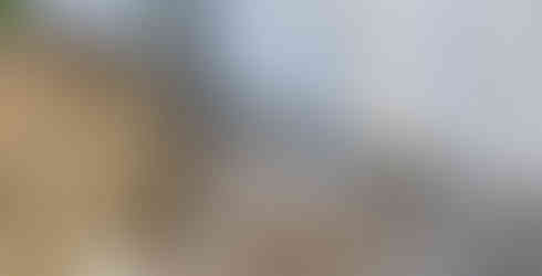 Sinai Construction, drainage, concrete, Los Angeles, experts, contact us,