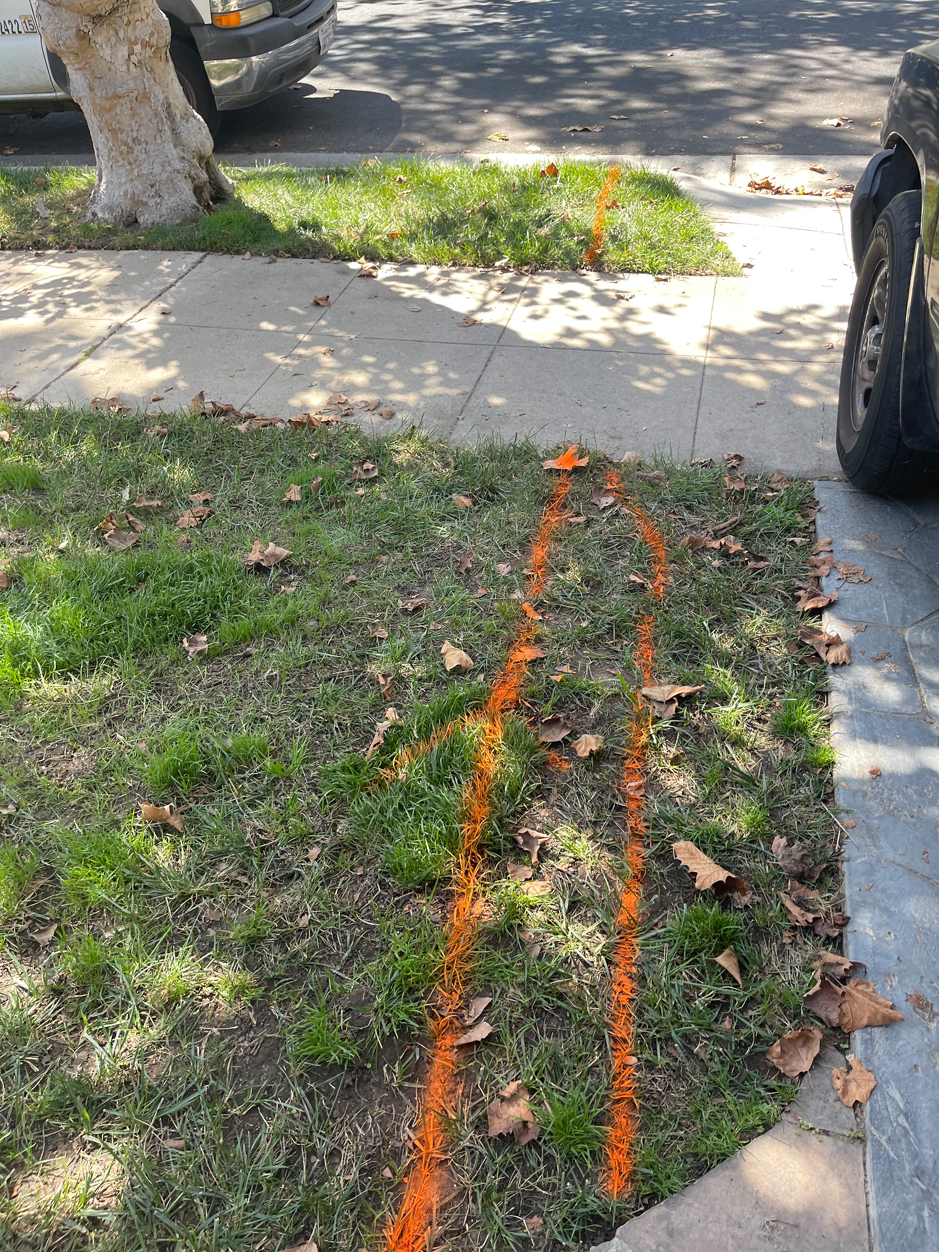 Yard drainage, contractors in Los Angeles, Sinai Construction, contact us, home,