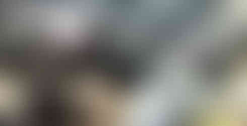 Sinai Construction, drainage, waterproofing, Los Angeles