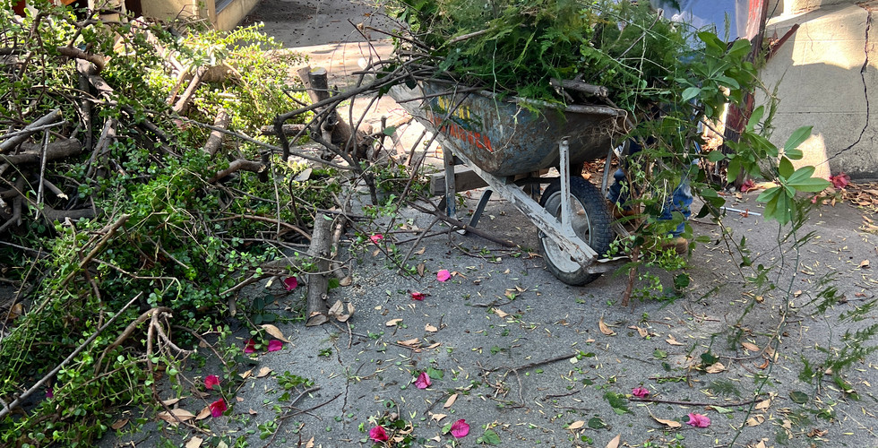 Contractors in Los Angeles, Sinai Construction, Concrete, foundation, soft story retrofit