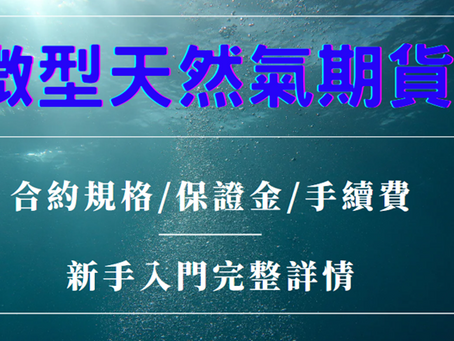 微型天然氣期貨誰適合交易?合約規格、保證金、手續費新手入門完整透析