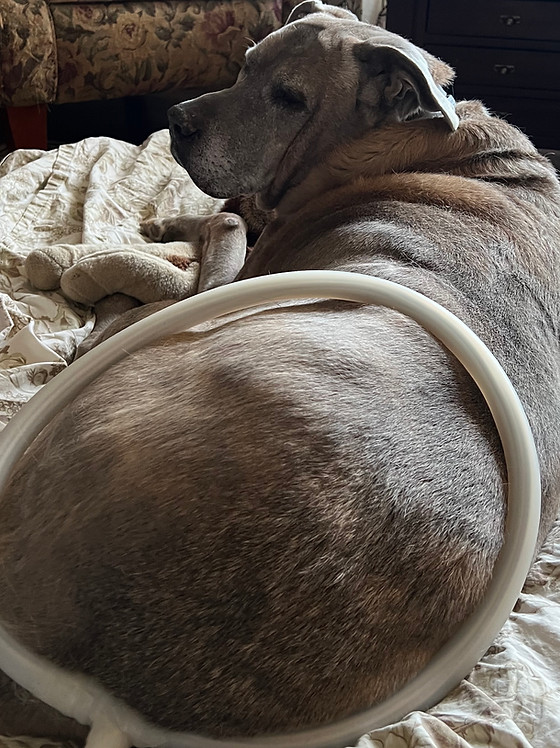 Red Light Therapy Vs Pulsed Therapy (PEMF)