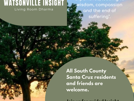 Tuesday Meditation Online - All Are Welcome 🦋