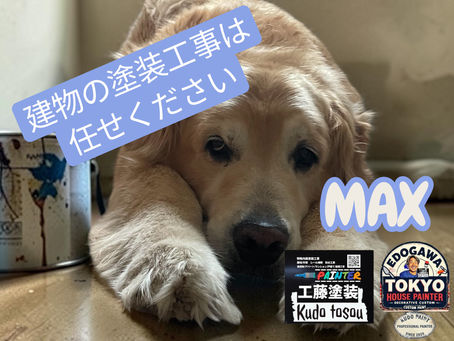 お客様の口コミ評価🙇🏻