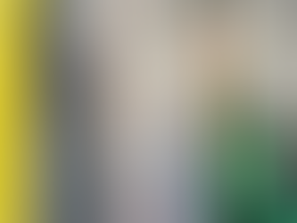 サイディング壁 多彩仕上げ ダブルトーンエイジング風