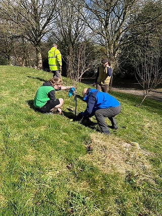 Two people hold a newly planted tree sapling in place while two people look on in the background.