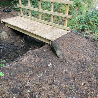 A small wooden bridge with railings on one side spans a narrow stream in a forested area. The ground around the bridge is covered with pine needles and leaves, and there are trees and greenery in the background.