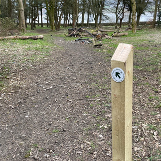 A wooden post with a circular marker indicating a walking trail stands in the foreground of a forest path. The marker features an arrow pointing straight ahead. The path is covered with dirt and scattered leaves, leading into a dense area of trees in the background.