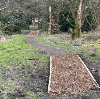 A narrow dirt path winds through a wooded area with patches of grass and bare soil. The path is bordered by wooden planks and covered with wood chips in some sections. Trees with bare branches line the sides of the path, and the background shows more trees and greenery.