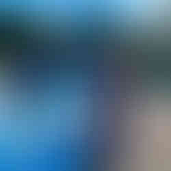 A group of people are standing on a painted outdoor basketball court, appearing to work on painting it. Paint rollers and trays are visible on the ground. The individuals are dressed in casual clothing, with some wearing protective shoe covers. In the background, there is a basketball hoop, houses, trees, and a grassy area under a clear blue sky.