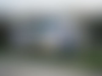 Maisy's Story: Skate it yourself