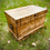 Thumbnail: The Amos Chest
