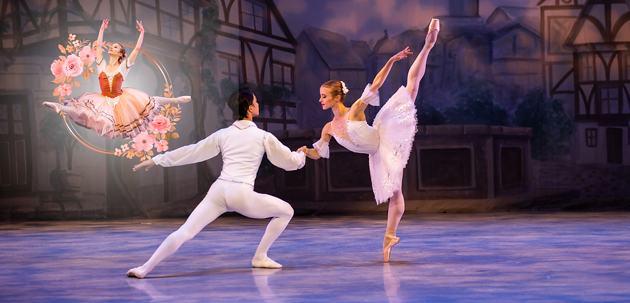 Coppelia 2024 (960 x 461 px).png