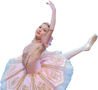Diana 1 No Background.png