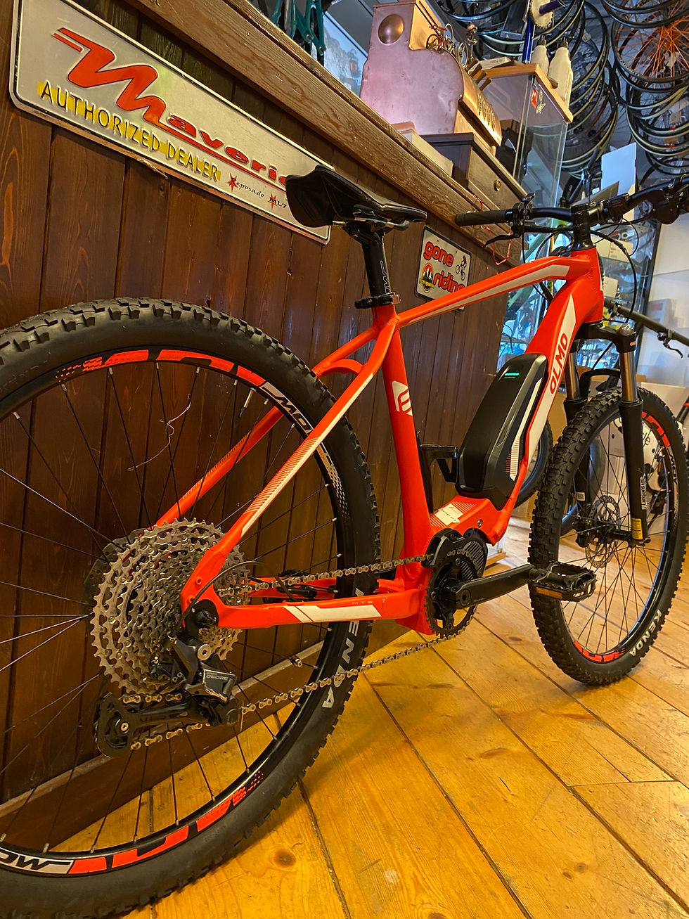 Miniatura: Olmo E-Vida